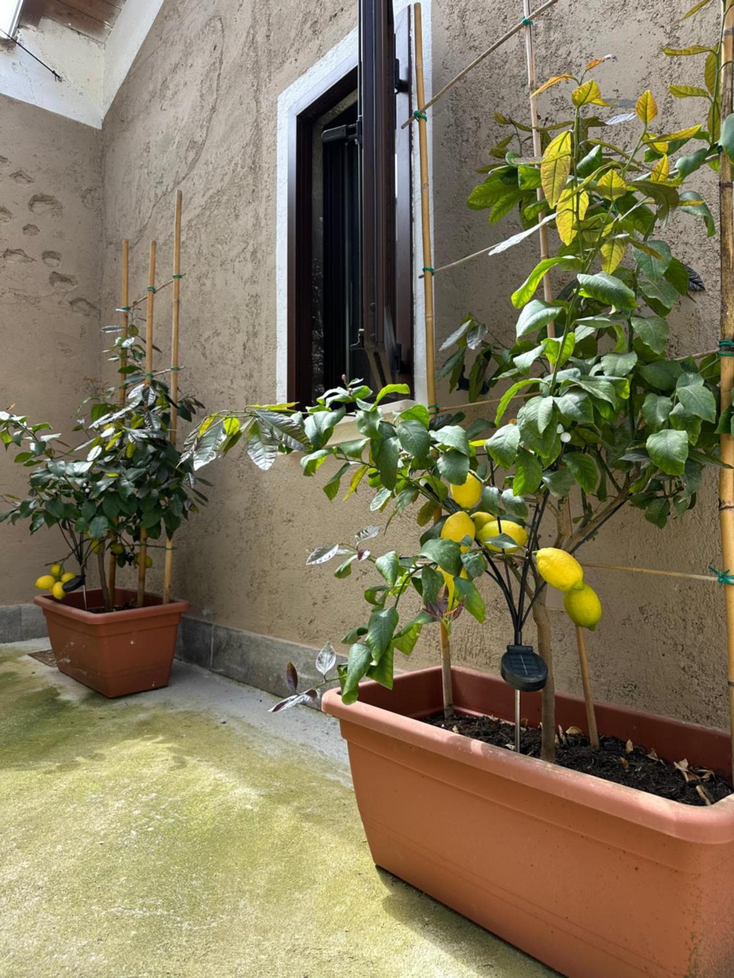 B&B La Corte Puegnago del Garda Exterior photo